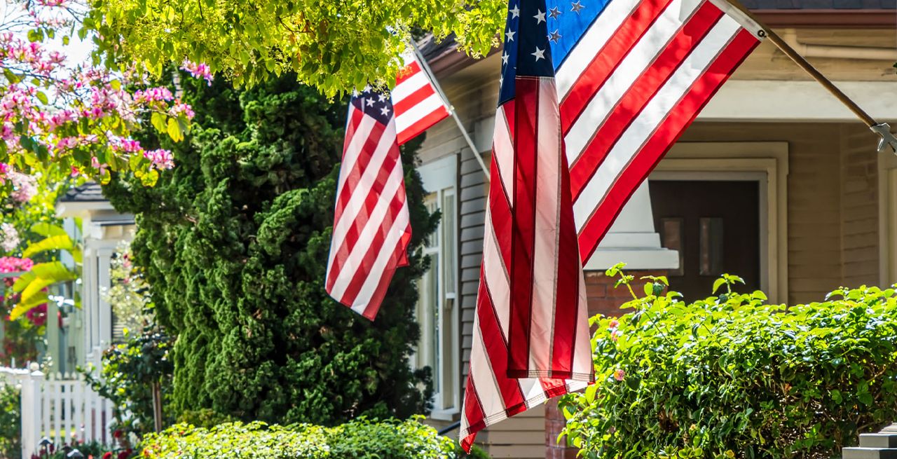 USA Flags