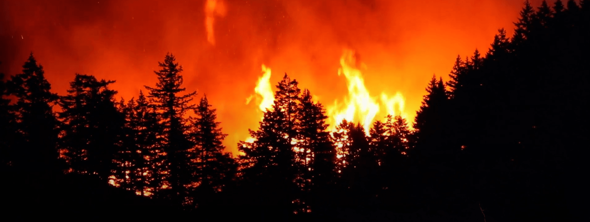 Oregon Wildfire